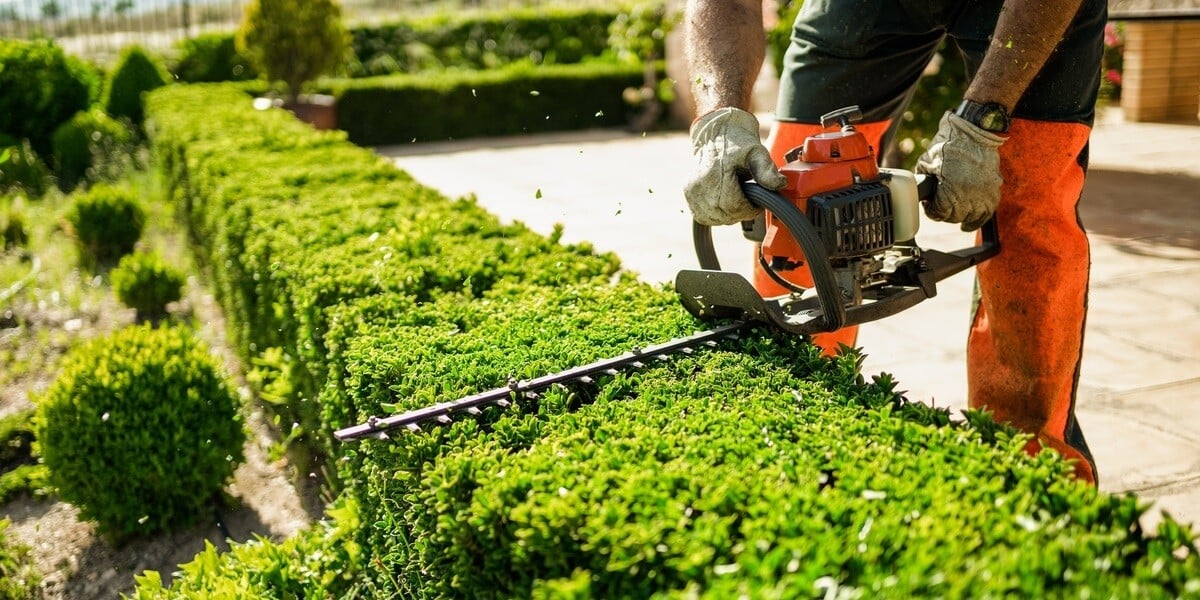 Shrub trimming work